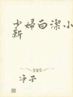 少妇白洁小说最新