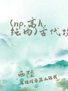 (np,高h,纯肉)古代攻受