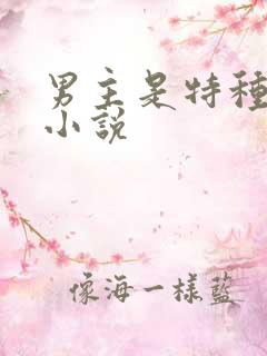 男主是特种兵的小说