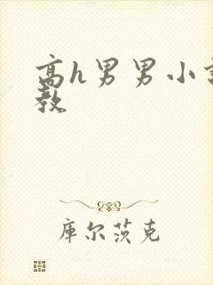 高h男男小说调教