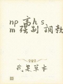 np 高h sm 强制 调教