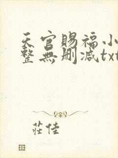 天官赐福小说完整无删减txt下载