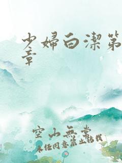 少妇白洁第三十章