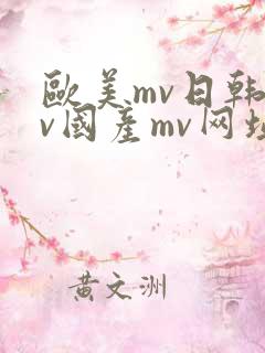 欧美mv日韩mv国产mv网址永久