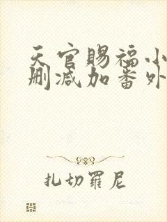 天官赐福小说无删减加番外txt