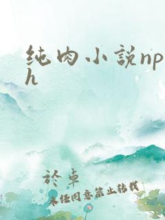 纯肉小说np高h
