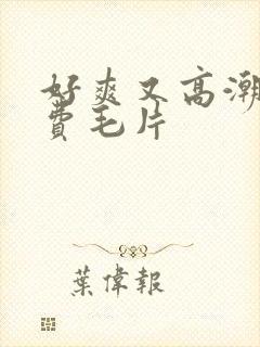 好爽又高潮了免费毛片