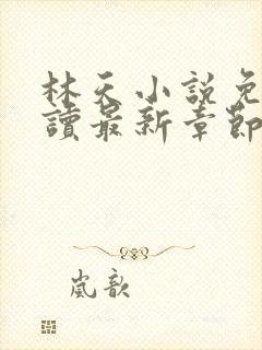 林天小说免费阅读最新章节