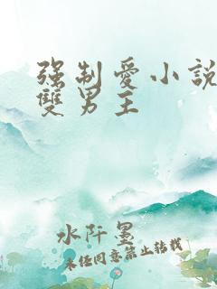 强制爱小说推荐双男主