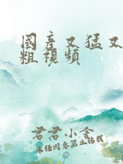 国产又猛又黄又粗视频