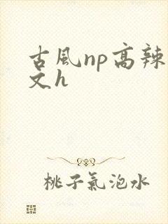 古风np高辣爽文h
