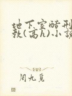 地下室酷刑性调教(高h)小说