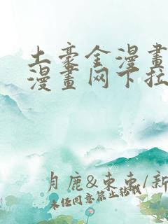 土豪金漫画免费漫画网下拉式