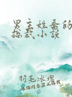 男主姓乔的霸道总裁小说