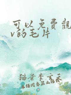 可以免费观看av的毛片