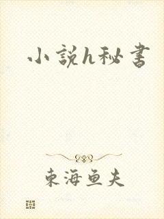 小说h秘书