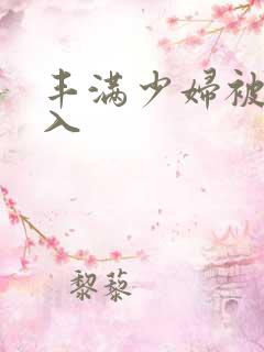 丰满少妇被猛进入