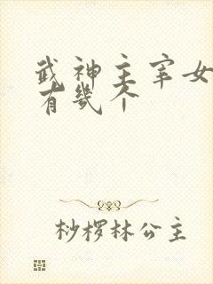 武神主宰女主角有几个