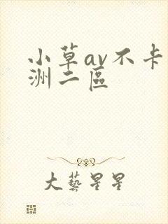 小草av不卡亚洲二区