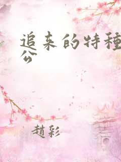 追来的特种兵老公