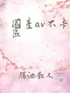 国产av不卡二区