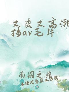 又爽又高潮无遮挡av毛片