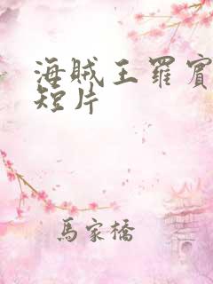 海贼王罗宾被h短片