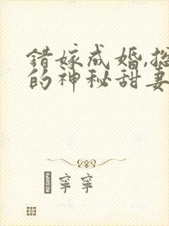 错嫁成婚,总裁的神秘甜妻