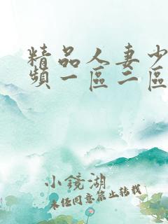 精品人妻少妇视频一区二区