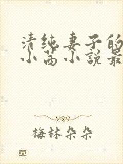 清纯妻子的改变小茜小说最新章节