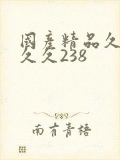 国产精品久久久久久238