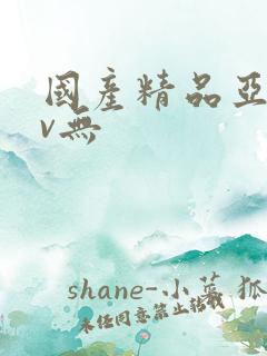 国产精品亚洲av无