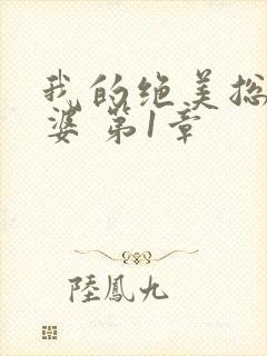 我的绝美总裁老婆 第1章