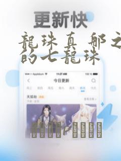 龙珠真 那之后的七龙珠：结局+番外