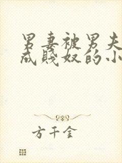 男妻被男夫调教成贱奴的小说