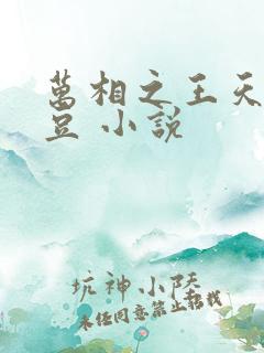 万相之王天蚕土豆 小说