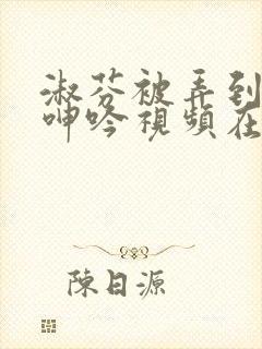 淑芬被弄到高潮呻吟视频在线观看