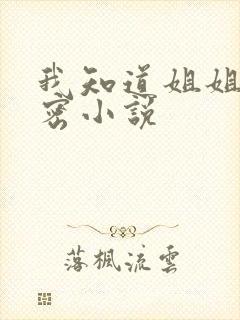 我知道姐姐的秘密小说