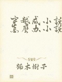 穿越成小说反派怎么办小说