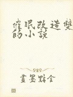 催眠改造双男主的小说