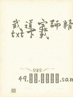 武道宗师精校版txt下载