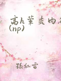高h荤爽肉欲文(np)
