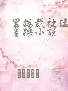 男总裁被猛男按着躁小说