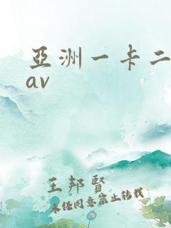 亚洲一卡二不卡av