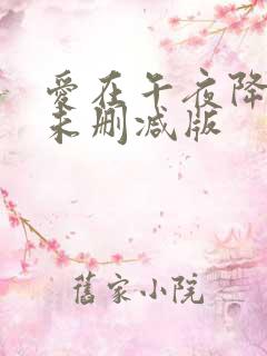 爱在午夜降临前未删减版