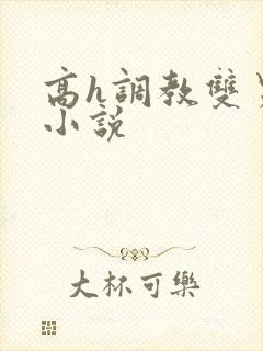 高h调教双男主小说