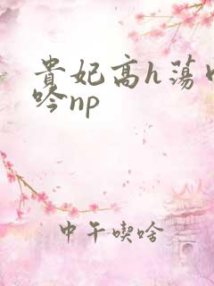 贵妃高h荡肉呻吟np