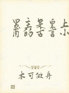 男主是皇上姓皇甫的古言小说