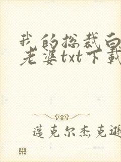 我的总裁白富美老婆txt下载