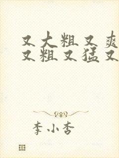 又大粗又爽国产又粗又猛又,爽又黄的视频